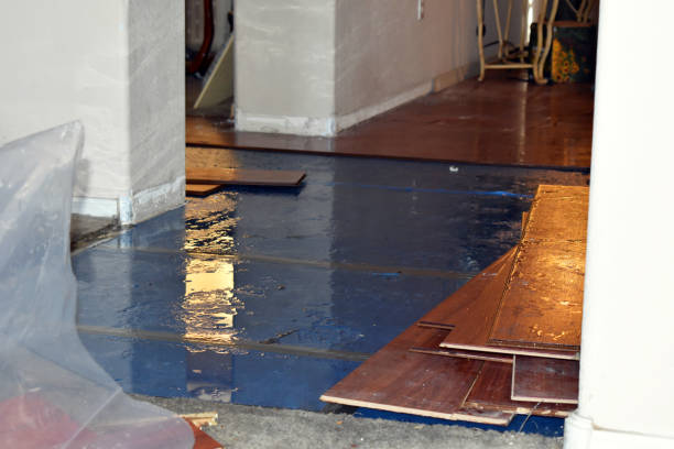 Professional Basement Flood Cleanup technician working in Hermanville, MS